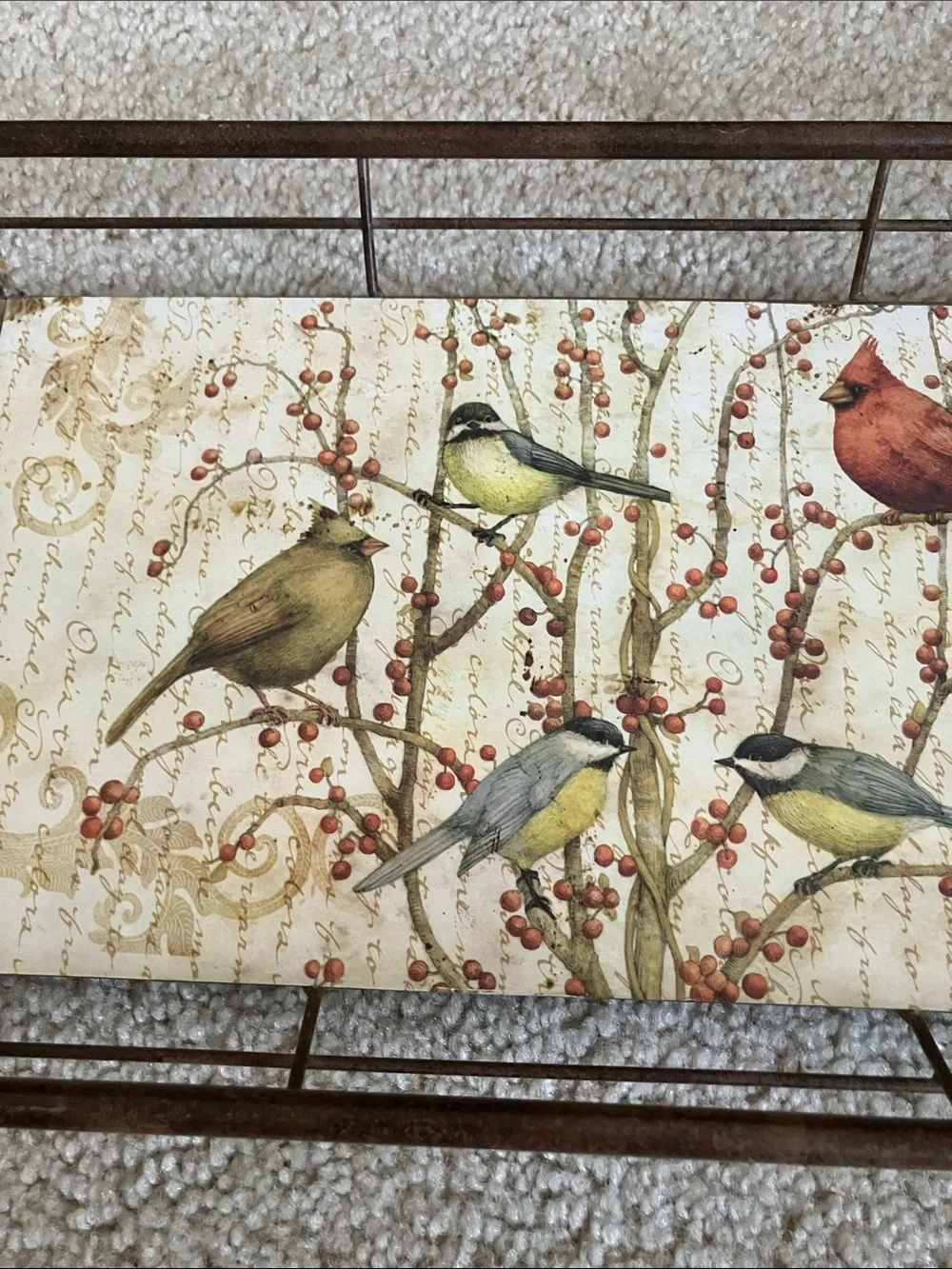 Tim Coffey Birds On Fruit Tree Tin Serving Tray Wall Decoration w/ Handles